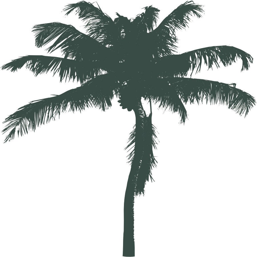 boardersandbranches